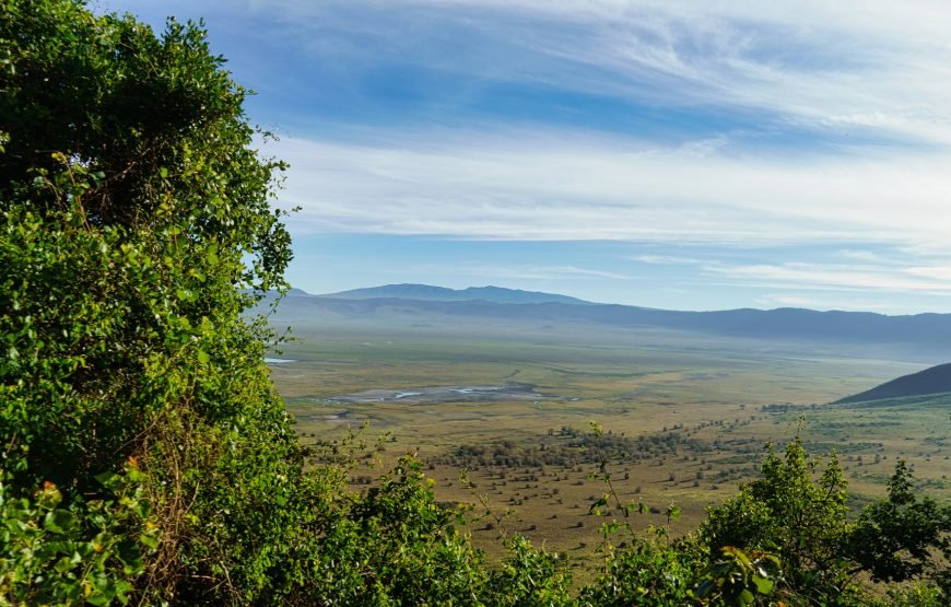 Ngorongoro Crater Day Tour: Explore Africa’s Eden in a Day Duration: Full Day | Start/End: Arusha (05:30–18:30)