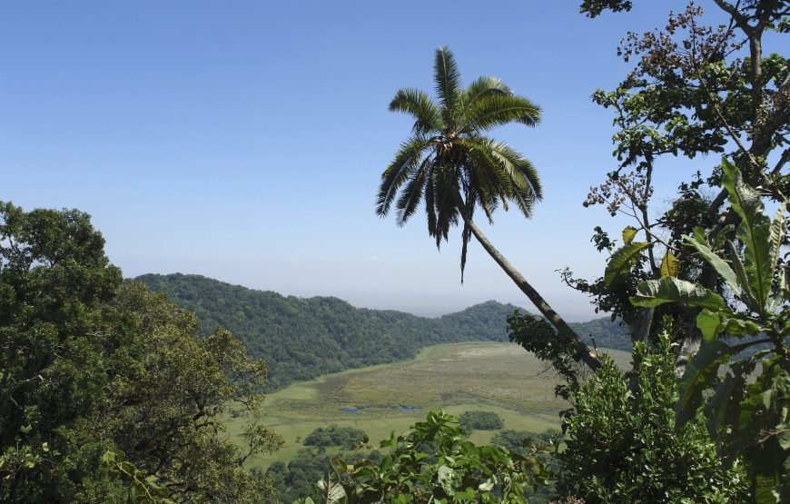 Arusha National Park Day Trip Safaris