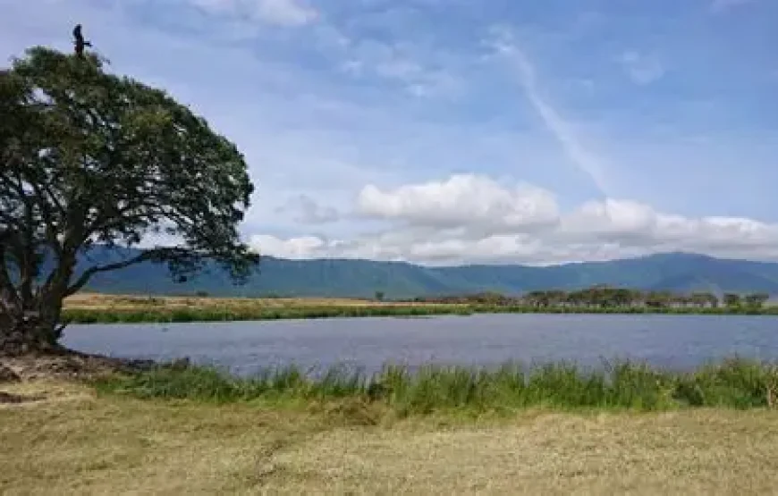 1 Night/2 Days Ngorongoro Crater Safari