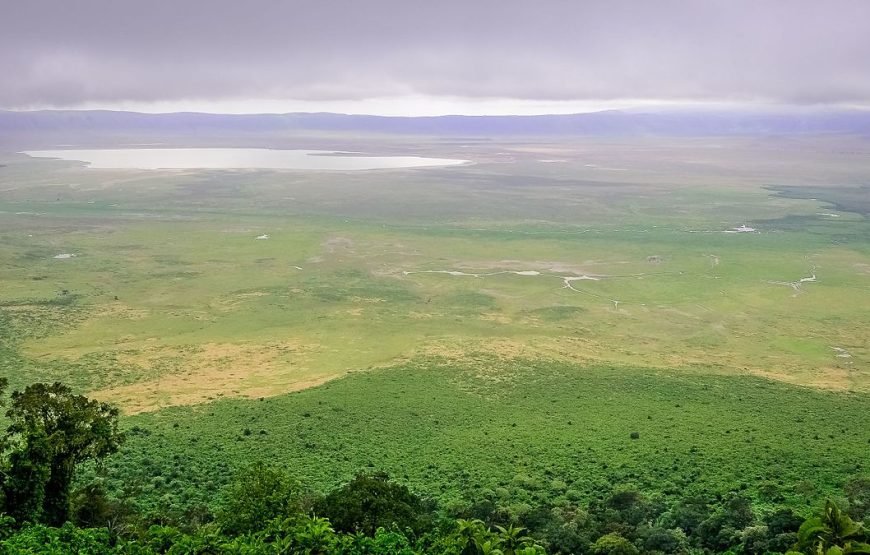 1 Night/2 Days Ngorongoro Crater Safari