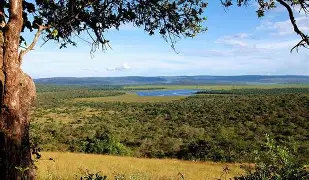 Day 2: Lake Mburo Exploration & Return to Kampala