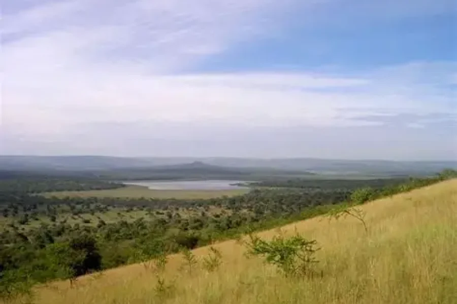 Lake Mburo & Ngamba Island Chimpanzee Safari (3 Days/2 Nights)