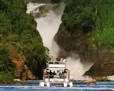 Day 2: Nile Cruise, Murchison Falls & Return to Kampala