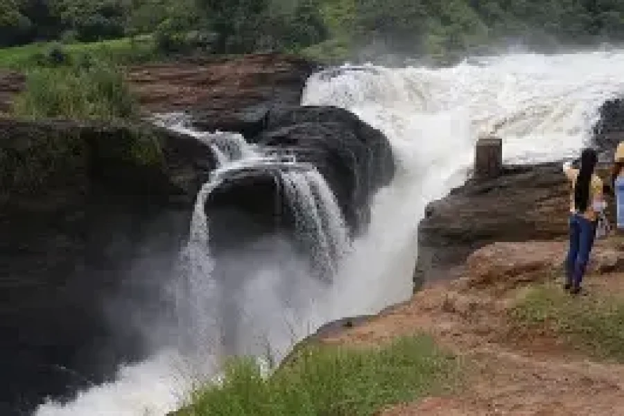 Murchison Falls Explorer Safari (3 Days/2 Nights)