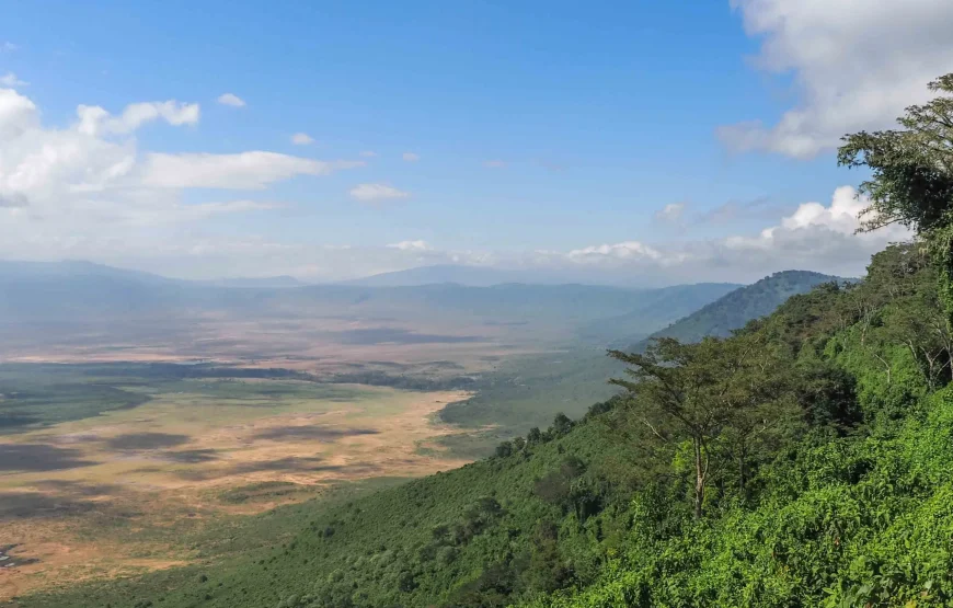 1 Night/2 Days Ngorongoro Crater Safari