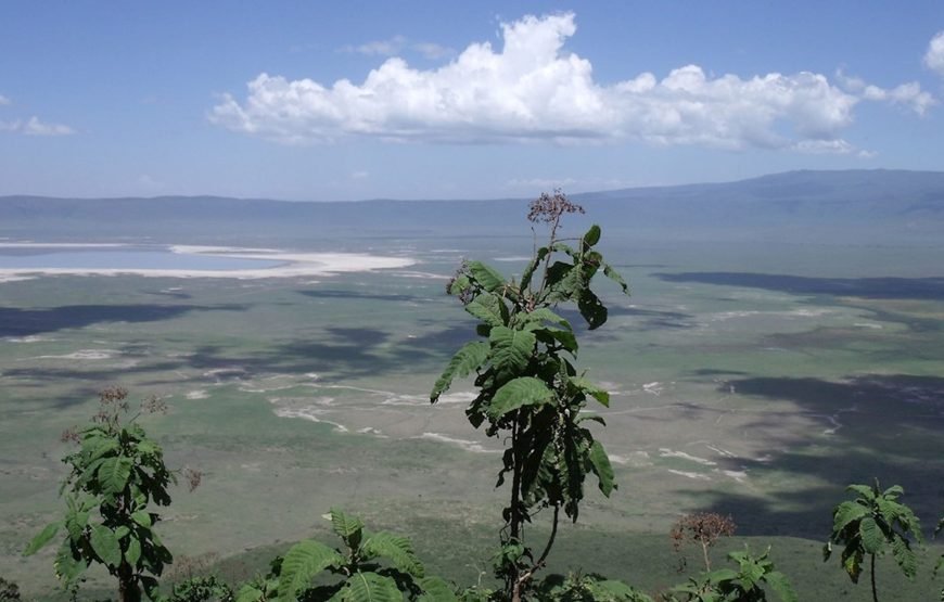 1 Night/2 Days Ngorongoro Crater Safari