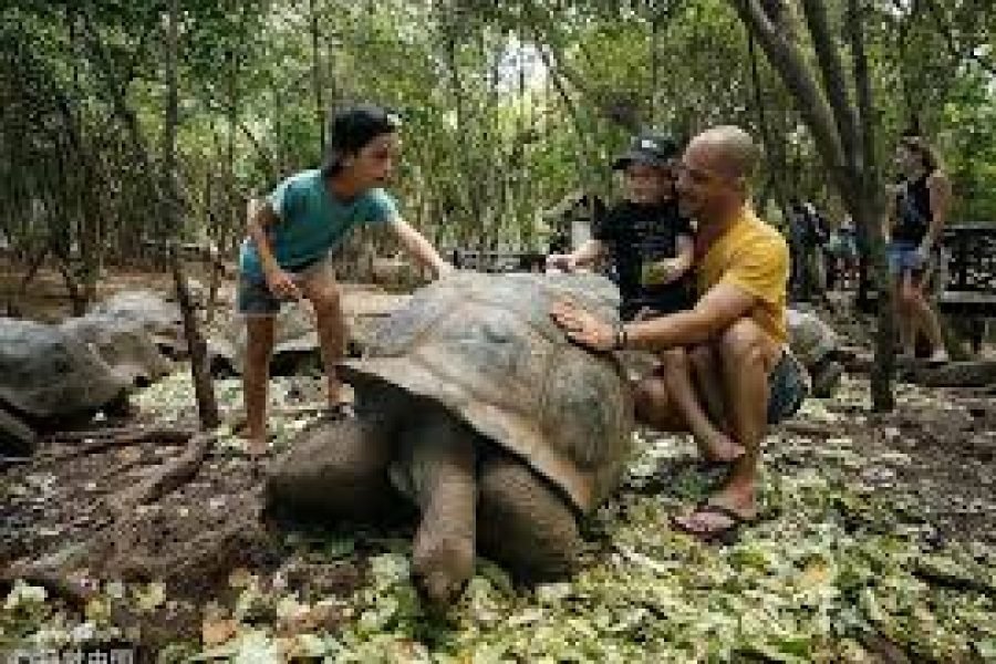 PRISON ISLAND TOUR | Historic Wildlife Experience with Giant Tortoises