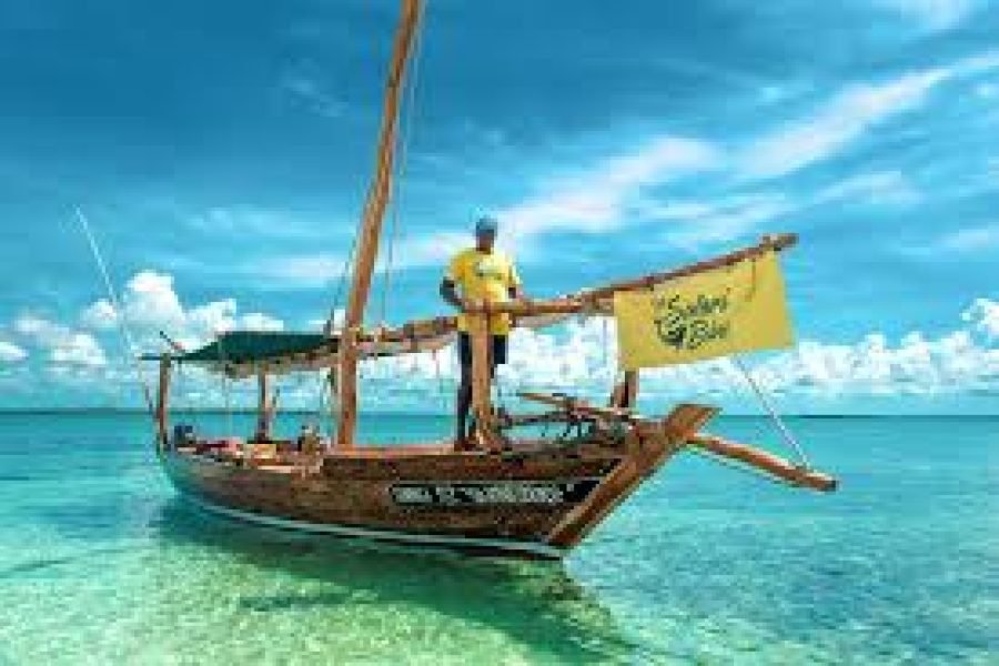 SAFARI BLUE TOUR | Ultimate Marine Adventure in Zanzibar’s Coastal Waters