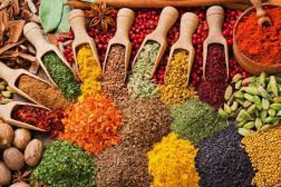 SPICE FARM TOUR | Aromatic Journey through Zanzibar’s Famous Plantations