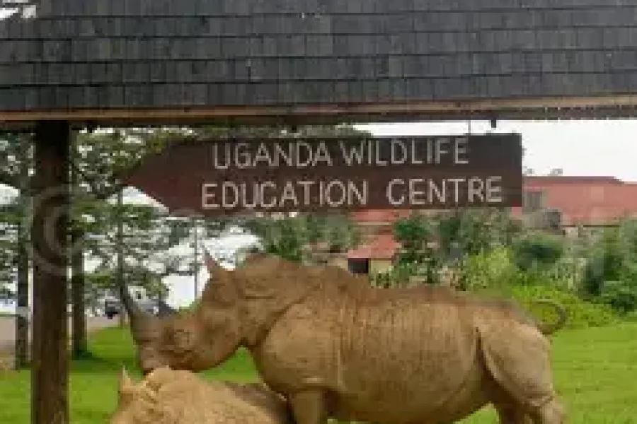 1-Day Uganda Wildlife Education Centre-Entebbe Tour