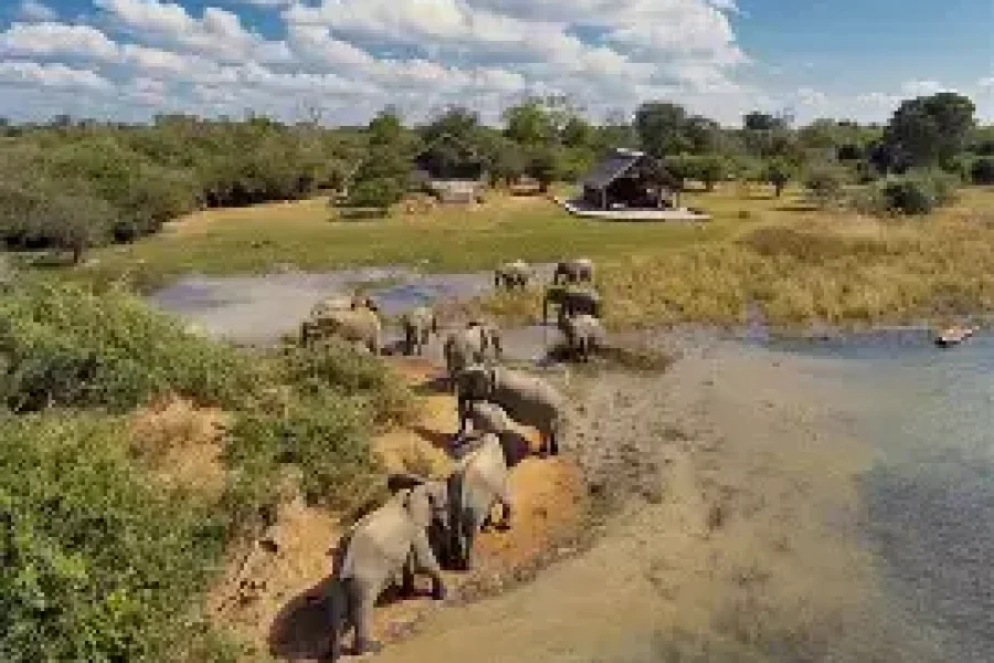 Overnight Kafue National Park Safari from Livingstone (2 Days/1 Night)