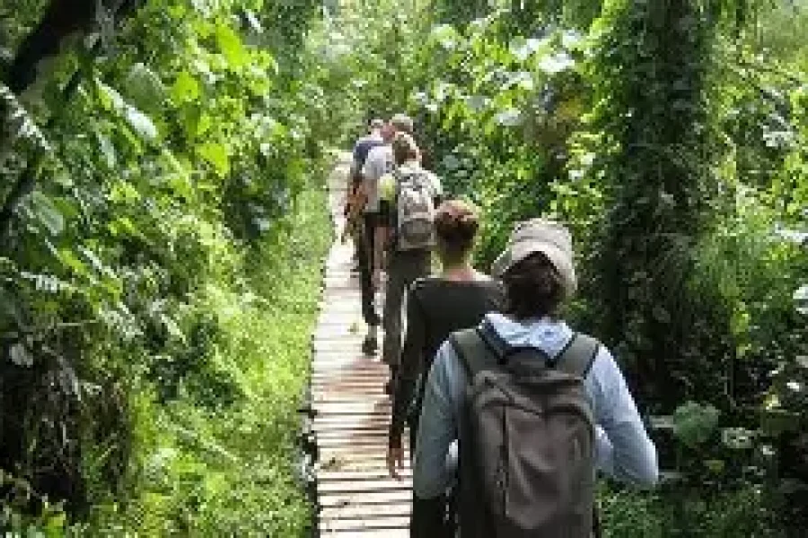 Kibale Forest & Queen Elizabeth Safari (4 Days/3 Nights)